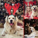RANYPET Weihnachts-Geweih Stirnband Set für Hunde – Rentier-Kostüm Zubehör – Bild 5