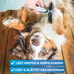 BluePet Fellentwirrer mit Doppelreihen-Pins – Profi-Striegel für Langhaar Hunde & Katzen – Bild 2