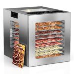 TRIUMPHKEY Dörrautomat Edelstahl mit 10 Tabletts – 850W Profi-Dörrgerat für Jerky & Früchte