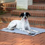 dobar Kühlmatte 99,5 x 70 cm – Selbstkühlende Hundedecke für Hunde & Katzen – Bild 2