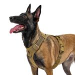 OneTigris DIESEL Hundegeschirr Grösse L – Taktisches Brustgeschirr für mittelgrosse & grosse Hunde