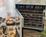 ROMMELSBACHER DA 650 Dörrautomat – 0,5 m² Dörrfläche mit 7 Edelstahl-Tabletts – Bild 6