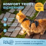 Pets Perfect Katzengeschirr Set Grösse S mit Leine – Ausbruchsicher & verstellbar – Bild 4
