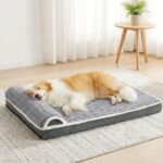 Jolibean Orthopädisches Hundebett 91x61cm – Ergonomisches Plüsch-Bett mit Eierkarton-Schaum