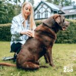 DR Zoo Hundebürste Robbi – Fellpflege für alle Hunderassen mit Edelstahlzinken – Bild 7