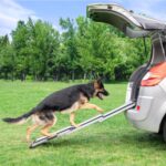 PRIORPET Teleskop Hunderampe Auto – Klappbar & rutschfest für grosse Hunde bis 90kg – Bild 2