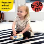 Baby Einstein Hape Discovery Radio – Montessori Spielzeugradio für Babys ab 6 Monaten – Bild 4