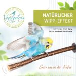 Vogelgaleria® 5er Set Naturholz Sitzstangen – Vogelzubehör für Wellensittich & Nymphensittich – Bild 5