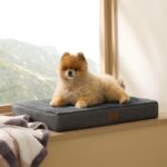 BEDSURE Orthopädisches Hundekissen 61x41cm – Memory Foam Hundebett für kleine Hunde – Bild 9