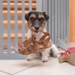 Relaxdays Hundeabsperrgitter 70 cm – Flexibles Treppengitter für sichere Raumtrennung – Bild 6