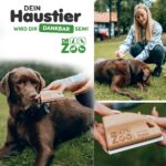 DR Zoo Hundebürste Robbi – Fellpflege für alle Hunderassen mit Edelstahlzinken – Bild 3