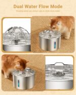 BalimoPet Katzenbrunnen Edelstahl 2,2L – Superleiser Trinkbrunnen mit Vierfachfilter – Bild 6