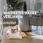 ALL FOR PAWS Little Buddy Hundespielzeug Bär – Kuscheliges Spielzeug für kleine Hunde – Bild 6