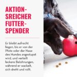 KONG Wobbler Interaktiver Futterspender – Slow Feeder für Mittelgrosse & Grosse Hunde – Bild 3
