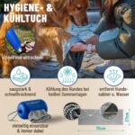 GIZZY® Hundetrinkflasche aus Edelstahl – Auslaufsicher & robust für unterwegs – Bild 5
