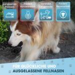 Pets Perfect® Schnüffelteppich Hund – Intelligenzspielzeug mit Filz & Silikonnoppen – Bild 4