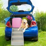 Froadp Klappbare Hundetreppe 4 Stufen – Stabile Haustiertreppe für Sofa & Auto (Grau) – Bild 9
