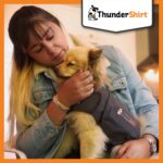 Thundershirt Beruhigungsweste Grösse L – Angstabbau für Hunde ohne Medikamente – Bild 6