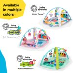 Baby Einstein Farm Explorers 4-in-1 Spielbogen – Musik- & Sprachlernmatte für Babys 0–36 Monate – Bild 12