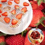 Nictemaw Dörrautomat 400W mit 8 Etagen – Digitaler Obsttrockner für Obst, Gemüse & Fleisch – Bild 2