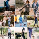 Edipets Joggingleine Hunde 160-220 cm – Freihändig Laufen mit Anti-Stress-System – Bild 6