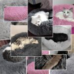 DONWEI Katzenbett 50cm Donut-Form Dunkelgrau – Flauschiges Haustierbett für Katzen & Mini-Hunde – Bild 6
