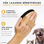 BUDDY BRUNO® Hundebürste Kurzhaar mit Naturborsten – Premium Fellpflege für Hunde & Katzen – Bild 4