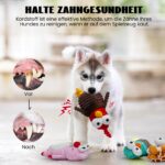 Nocciola 5er-Set Quietsch-Hundespielzeuge Bauernhoftiere – Robust & zahngesund für alle Hunderassen – Bild 6