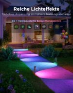 Govee Wegeleuchten Aussen 2 Lite RGBWIC – 4er Set Smart Gartenbeleuchtung mit Matter – Bild 6