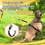 Hundefreund Ruckdämpfer 30 cm – Leinenverlängerung mit Zugdämpfung für entspanntes Gehen – Bild 6