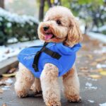 PcEoTllar Wasserdichte Hundejacke mit Geschirr – Reflektierender Wintermantel für kleine Hunde – Bild 7