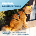 Pets Perfect Katzengeschirr Set Grösse S mit Leine – Ausbruchsicher & verstellbar – Bild 2