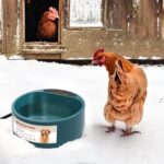 Enjoying Beheizter Wassernapf 2.2 L – Frostsichere Tränke für Hunde, Katzen & Geflügel – Bild 6