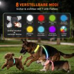 HENMI Leuchtgeschirr Set (L) mit LED & Hundeleine – Reflektierendes Sicherheitsgeschirr für mittlere Hunde – Bild 3