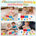 LHBuno Montessori Holzspielzeug ab 1 Jahr – 2in1 Farb- & Formensortierspiel – Bild 6
