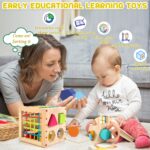 Winique Formsortier-Holzspielzeug ab 1 Jahr – Montessori Entwicklungsspielzeug für Kleinkinder – Bild 4