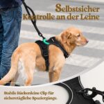 rabbitgoo Hundegeschirr Grösse L – Anti-Zug mit Griff für grosse Hunde – Bild 7