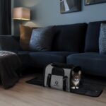 Petula Katzentransporttasche faltbar – Formstabil & atmungsaktiv für Katzen & kleine Hunde bis 13 kg – Bild 8