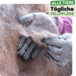 DR Zoo Fellpflegehandschuh Grösse M – Effektive Fellpflege für Hund, Katze & Pferd – Bild 2
