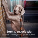 FREUDENTIER Hundeleine 2m – 3-Fach verstellbare Führleine mit Echtleder für grosse Hunde – Bild 4
