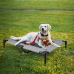 UISEBRT Erhöhtes Hundebett L (92x76x92 cm) mit Baldachin – Outdoor-Hundesofa wasserdicht – Bild 9