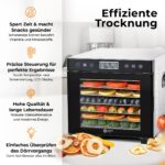 Balter DA-108 Dörrautomat Edelstahl – 7 Fächer, 600 W, bis 48 Std. Timer für Obst & Fleisch – Bild 2
