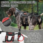 OneTigris SKYEWALKER Hundegeschirr M – Mobilitätshilfe mit 2 Hebegriffen für mittlere & grosse Hunde – Bild 4