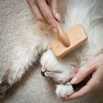LucyBalu FURRY Slickerbürste – Katzenbürste mit Buchenholzgriff für optimale Fellpflege – Bild 6