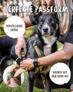Rudelkönig Hundegeschirr Bella – Neopren-Brustgeschirr mit Haltegriff für mittelgrosse Hunde – Bild 3