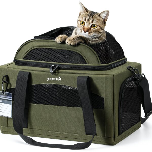 Pecute Katzentransportbox erweiterbar, flugzeugtauglich – 42x28cm grün für Katzen & kleine Hunde