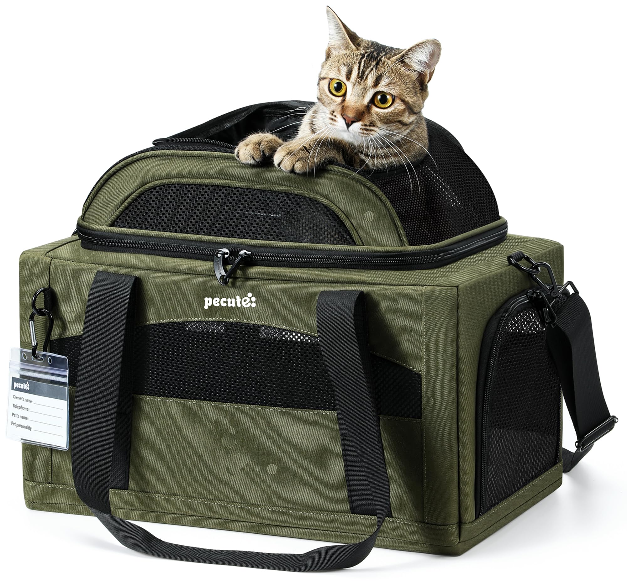 Pecute Katzentransportbox erweiterbar, flugzeugtauglich – 42x28cm grün für Katzen & kleine Hunde