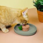 ne&no Katzennapf Nala Collection – Flache Silikonschale für sensible Schnurrhaare – Bild 8