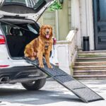 CO-Z Hunderampe 170cm klappbar – Gelenkschonender Fahrzeugeinstieg für Hunde bis 90kg – Bild 11