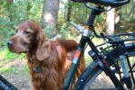 dobar Walky Dog Plus Fahrradleine – Edelstahl Hundeleine mit Quicklock für sicheres Radfahren – Bild 7